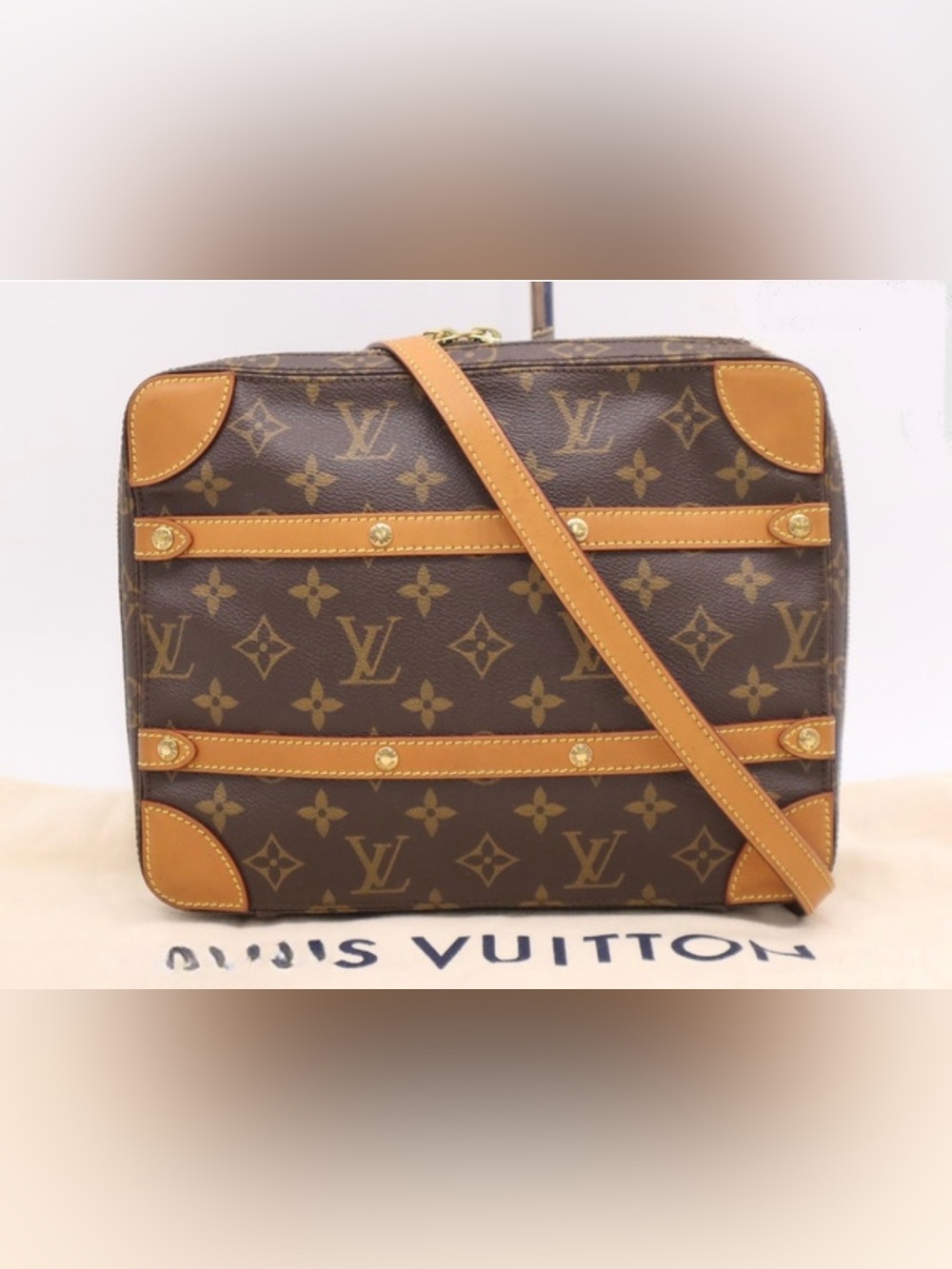 Louis Vuitton Monogram Soft Trunk Crossbody Bag Runway 2019 Défilé Homme